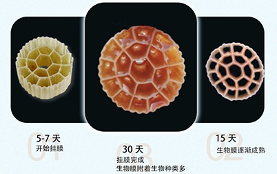 应用广泛