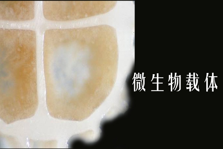 MBBR填料-4
