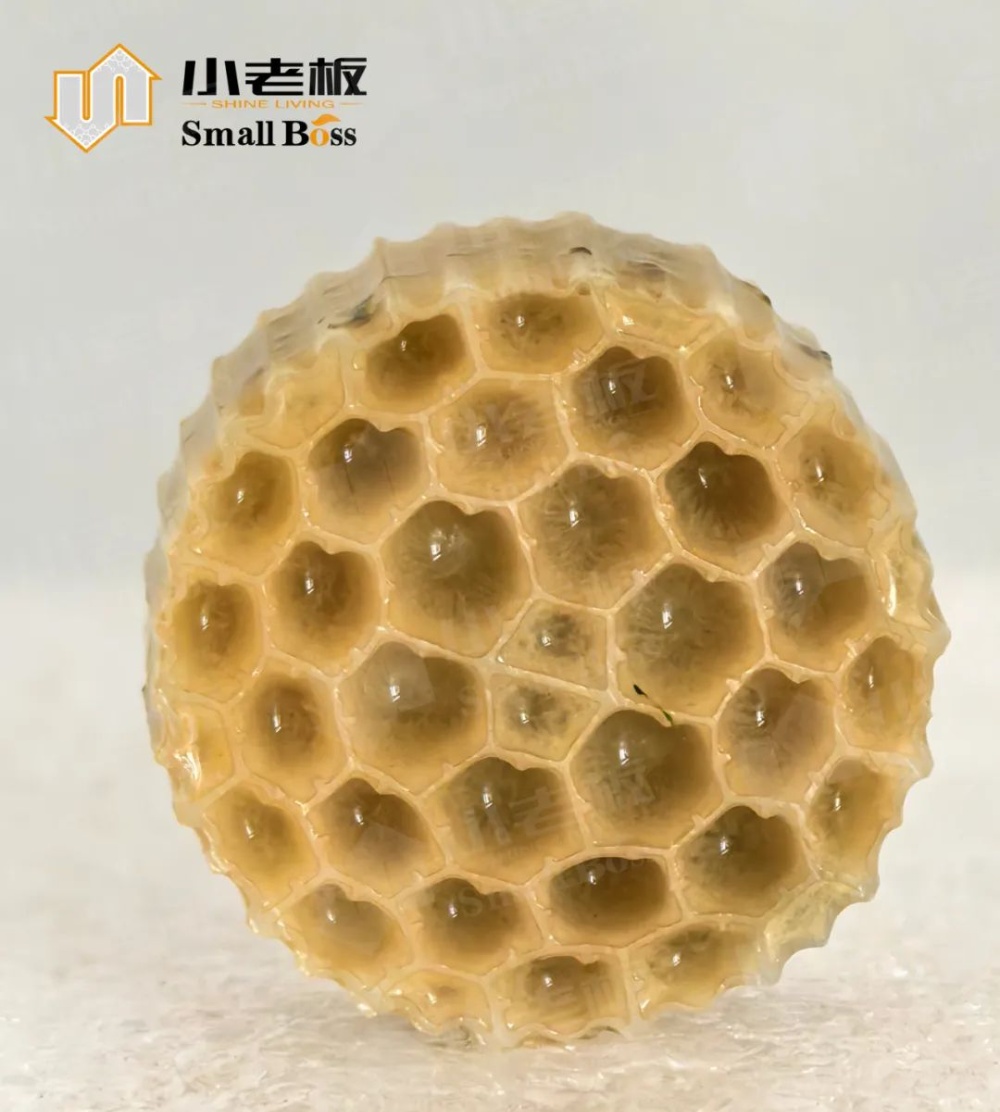 38孔挂膜MBBR填料