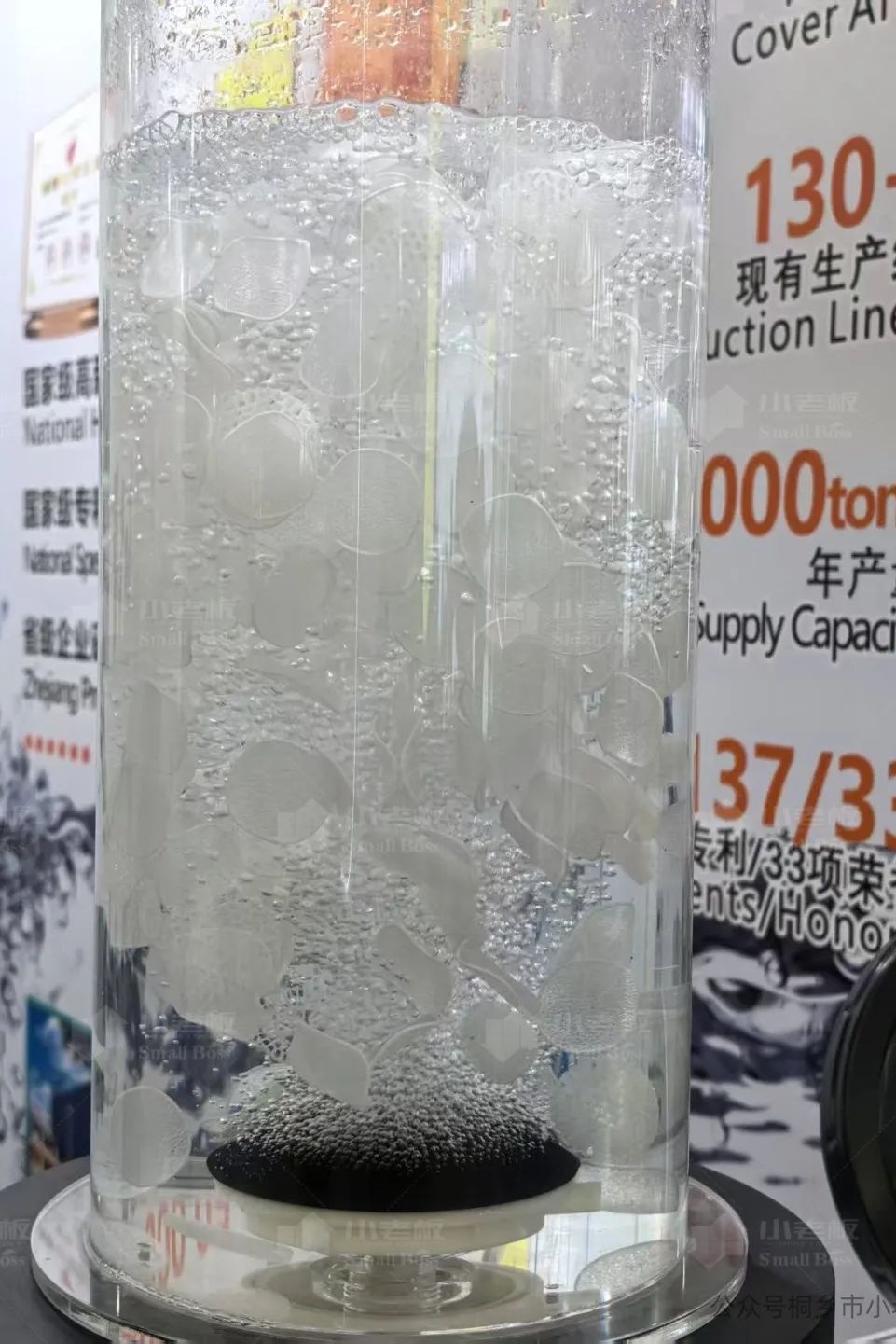 S型生物膜片