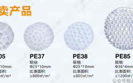 循环水养殖技术革新：MBBR填料成为水产养殖业绿色转型的核心动力